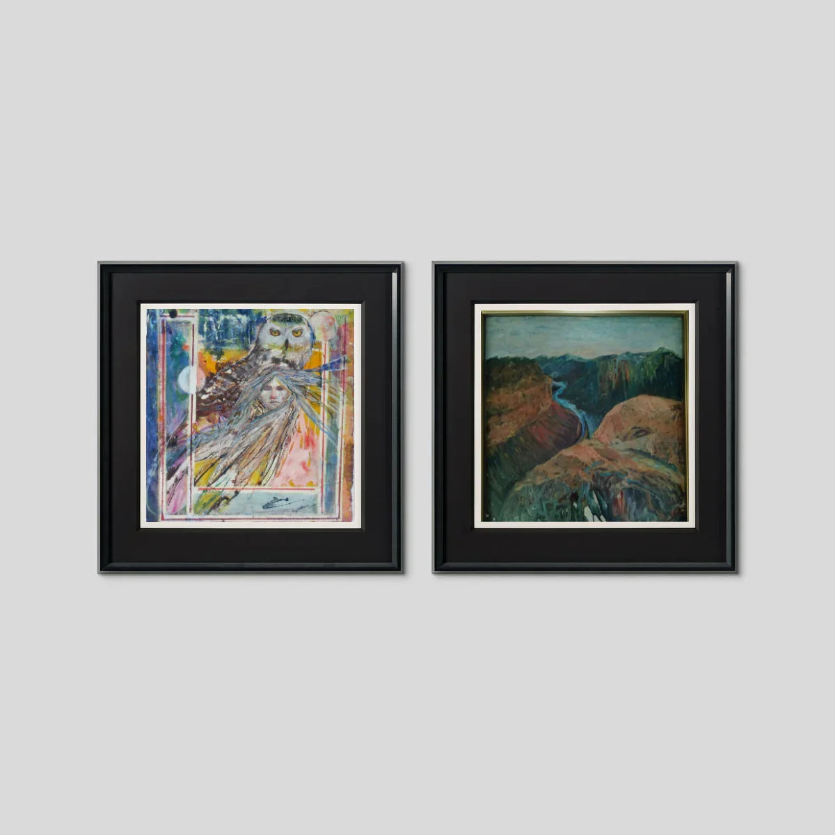 Two framed paintings on gray wall, one abstract owl and woman, one canyon landscape art
