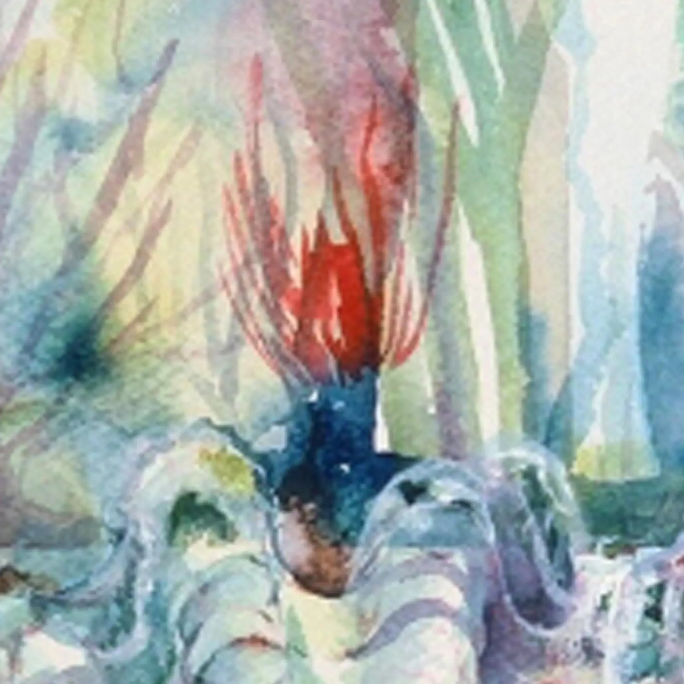 Abstract watercolor painting with vibrant red and blue shapes, organic forms, and soft backgrounds