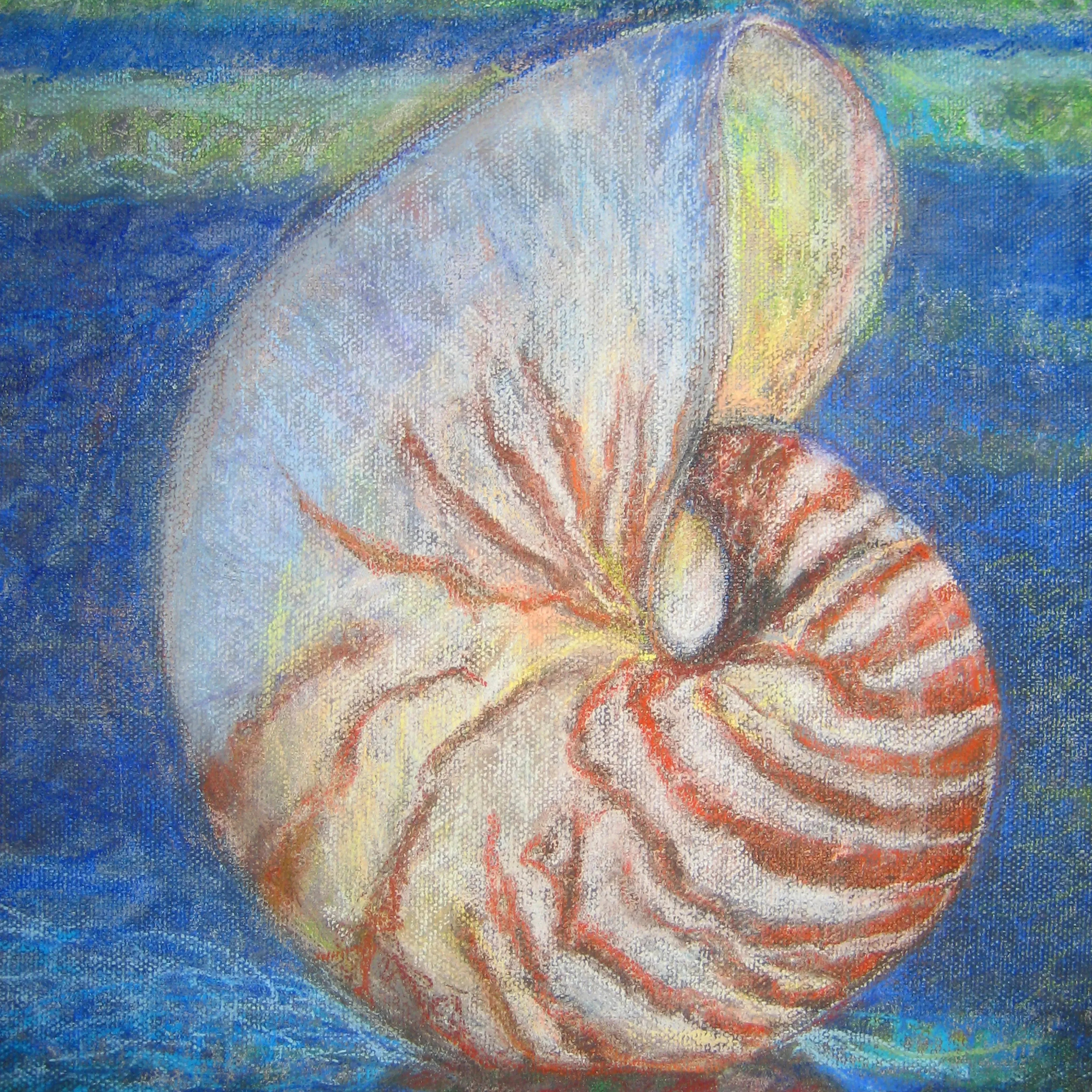 Colorful nautilus seashell painting with blue and green abstract ocean background